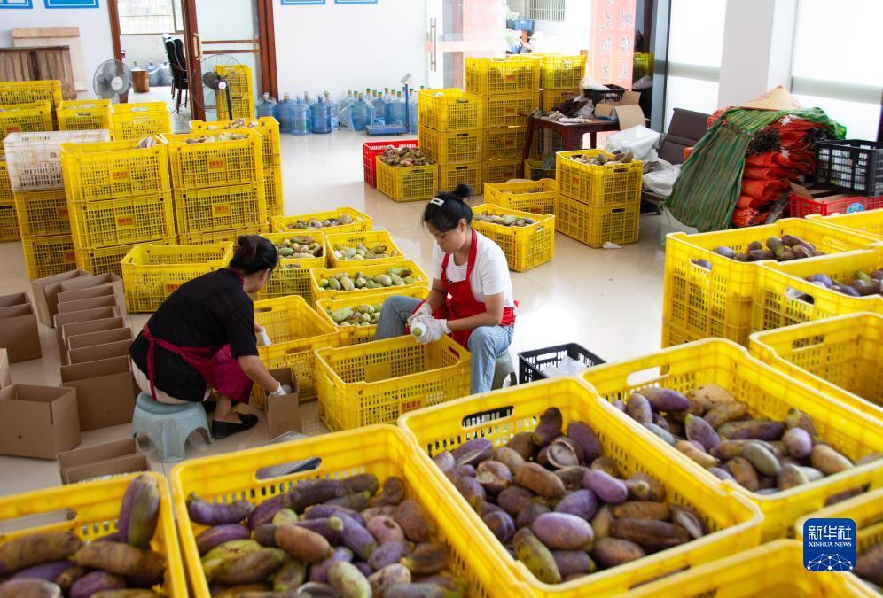 奥门永利电子游戏平台